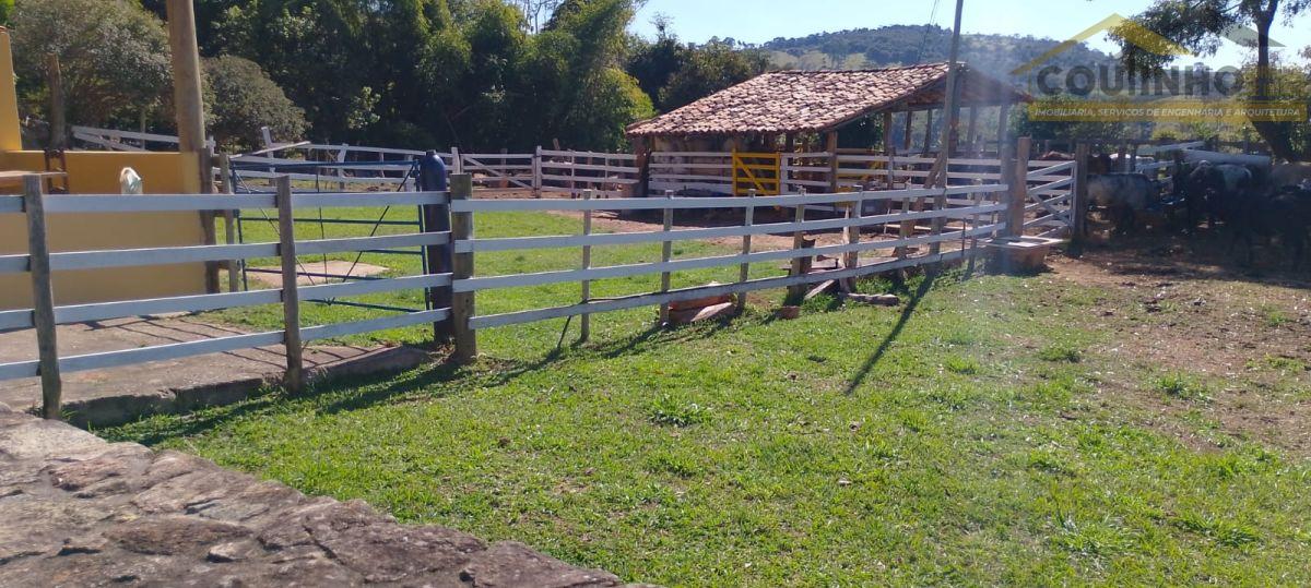 WhatsApp Image 2025-07-16 at 16.43.50 (4).jpeg